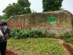 android_upload_pic-瑶湖郊野森林公园