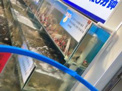 -仙螺岛海鲜自助餐厅(总店)