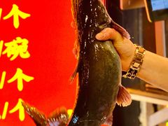 -江湖水乡铁锅炖魚(周庄嘉园店)