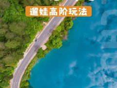 -都江堰中华大熊猫苑