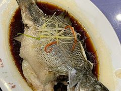 清蒸鲈鱼-晋阳饭庄(虎坊桥店)