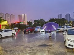 -庭苑美食中心·陈皮烧鹅·海鲜(台山店)