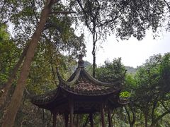 -九曜山
