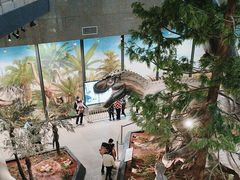 -湖南省地质博物馆