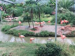 -无锡动物园·太湖欢乐园