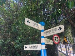 -东澳岛