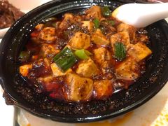 -陈麻婆豆腐总店