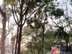 -云溪植物园