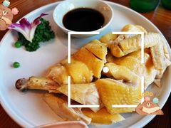 -芳草地度假酒店·野炉中餐厅