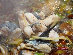 -小饕荟雅安贡椒鱼鲜馆(广福桥店)
