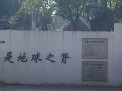 -长广溪湿地公园