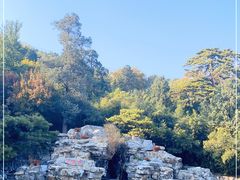 -香山公园