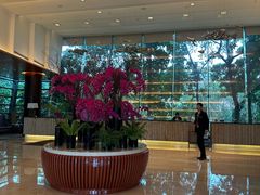 -深圳观澜格兰云天国际酒店