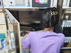 -瑞派宠物医院·24h·骨外科·皮肤科·全科宠物医疗转诊中心(沈阳浑南院)