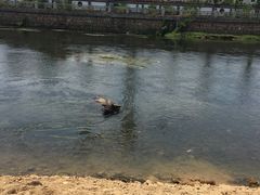 -杭州双溪漂流景区