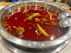 -肖肖酸萝卜鱼火锅(总店)