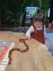 -酷嗒动物文化乐园(cutezoo西溪乐天城店)