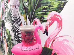 -Flamingo Bloom(TST /尖沙咀店)