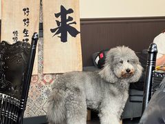-沏点Trattoria意大利餐厅(新街口店)