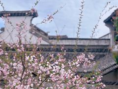 -惠山古镇·寄畅园