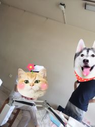 -沈阳市妇婴医院