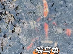 -三亚南山文化旅游区