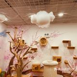 撸猫一时爽，一直撸猫一直爽！