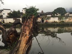 -南湖书院