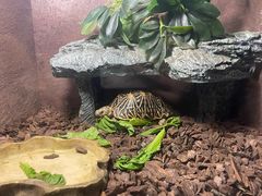 -上海海洋水族馆