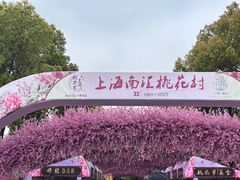 -南汇桃花村