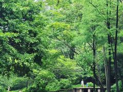 -晓港公园