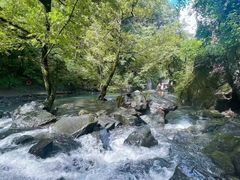 -石台牯牛降景区