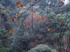 -小格里自然风景区