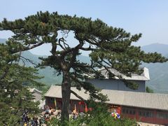 -妙峰山风景名胜区