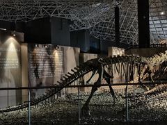 -世界恐龙谷景区