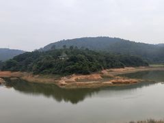 -东莞市大岭山森林公园