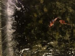 -鹅公村·国家非遗传承(荔湾店)