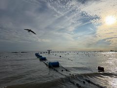 -老虎石海上公园