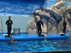 -福州罗源湾海洋世界旅游区