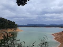 -广州市流溪河国家森林公园