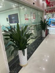 点击看大图 -痘博士广州·全国连锁祛痘机构