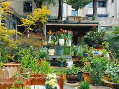 -谷咖啡·鲜花绿植花园餐厅