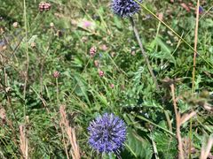 -白草畔自然风景区