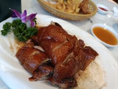 -老广酒楼(樱花店)