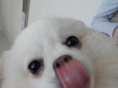 -怪兽屋·羊驼·猫咖·狗咖(俊华广场店)