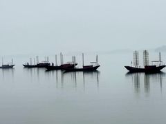 -鄱阳湖国家湿地公园