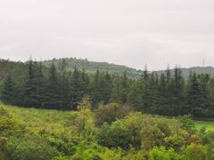 -阳光高尔夫俱乐部