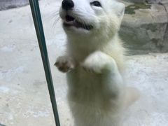 -海合安青岛极地海洋公园