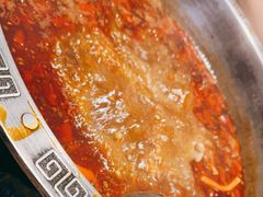 -销魂美蛙鱼头火锅(上海首店)