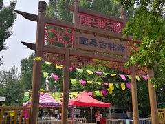 -御林古桑园